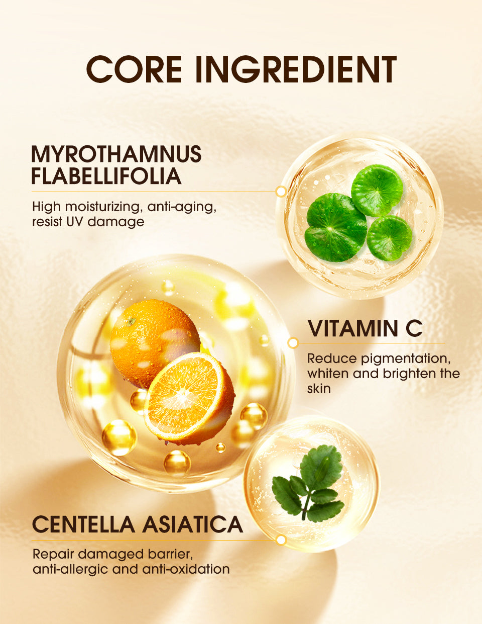 Luxurious Moisturizing Face Base