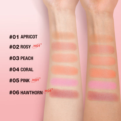 6 Color Blush Powder Palette Natural Glow