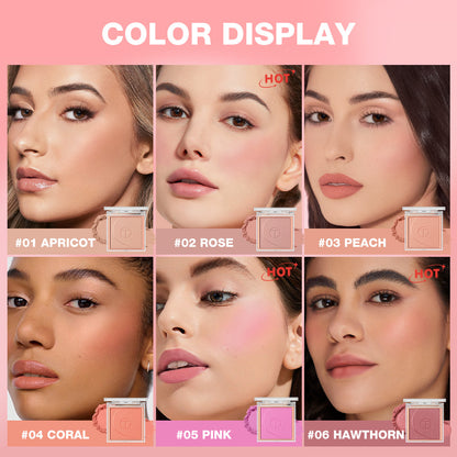 6 Color Blush Powder Palette Natural Glow